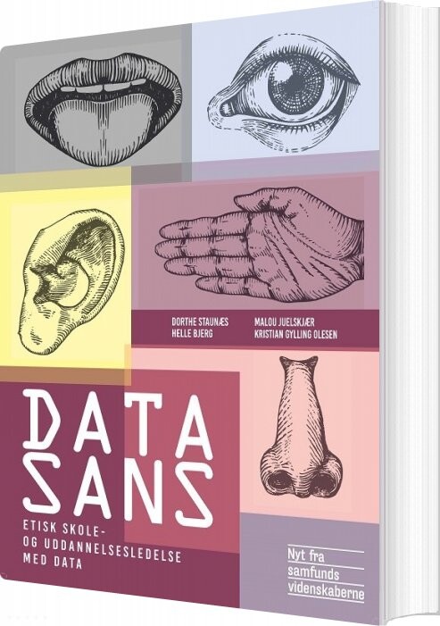 Datasans - Dorthe Staunæs - Bog - Nyt Fra Samfundsvidenskaberne