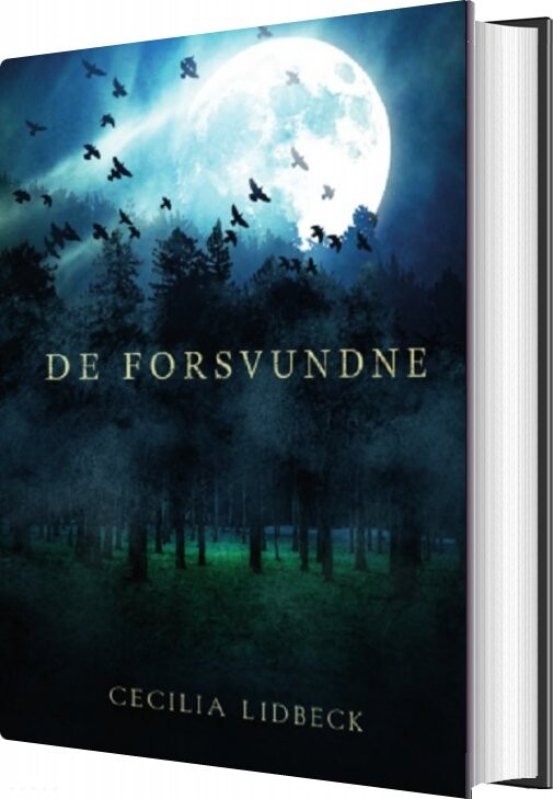 De Forsvundne - Cecilia Lidbeck - Bog - Abc Forlag