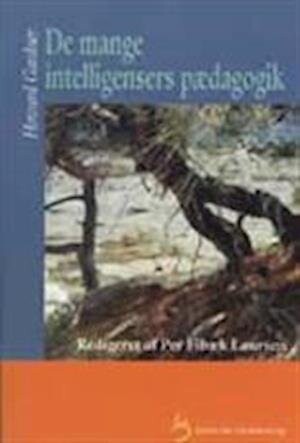 De Mange Intelligensers Pædagogik - Howard Gardner - Bog - Gyldendal