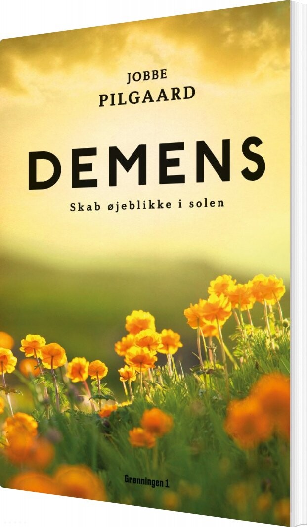 Demens - Glem Ikke øjeblikke Af Solskin - Jobbe Pilgaard - Bog - Grønningen 1
