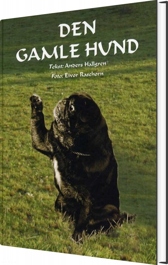 Den Gamle Hund - Anders Hallgren - Bog - Forlaget Tro-fast