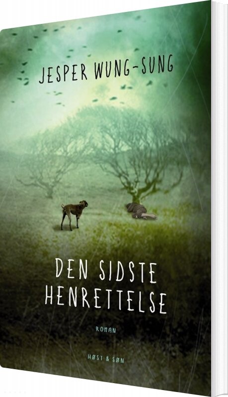 Den Sidste Henrettelse - Jesper Wung-sung - Bog - Høst & Søn