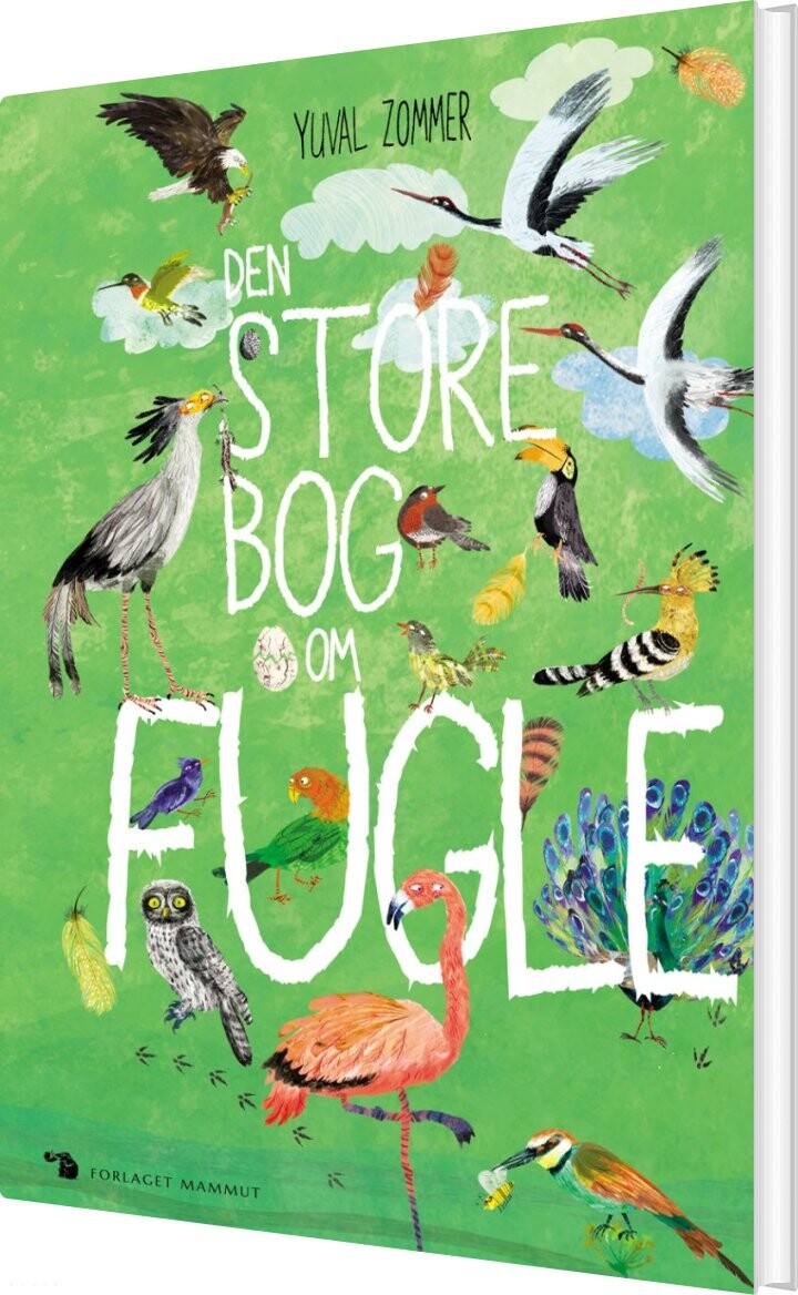 Den Store Bog Om Fugle - Yuval Zommer - Bog - Mammut