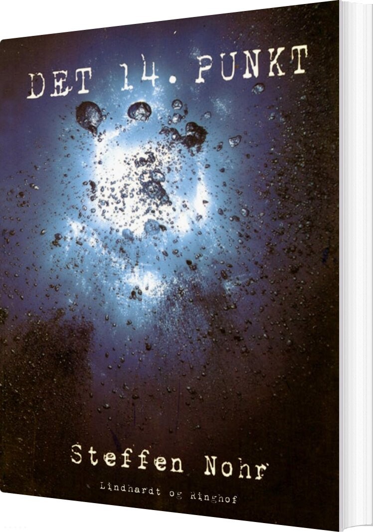 Det 14. Punkt - Steffen Nohr - Bog - Saga