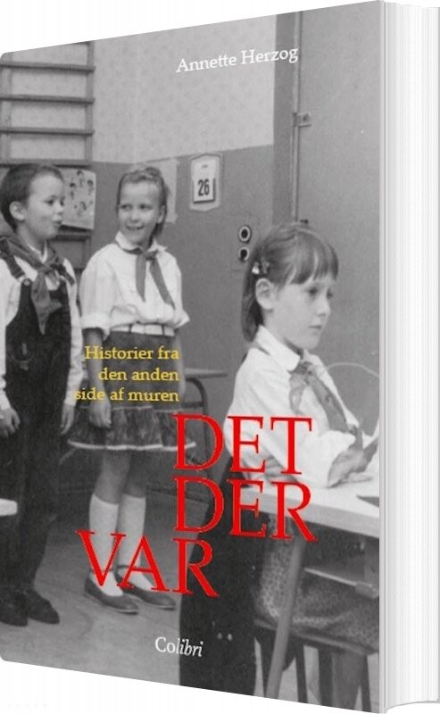Det Der Var - Annette Herzog - Bog - Colibri