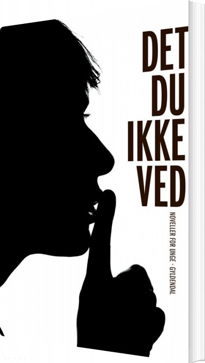 Det Du Ikke Ved - Svend åge Madsen - Bog - Gyldendal