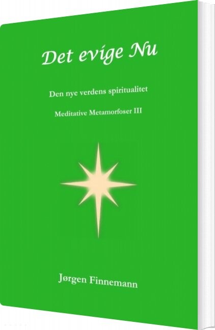 Det Evige Nu - Jørgen Finnemann - Bog - Books On Demand