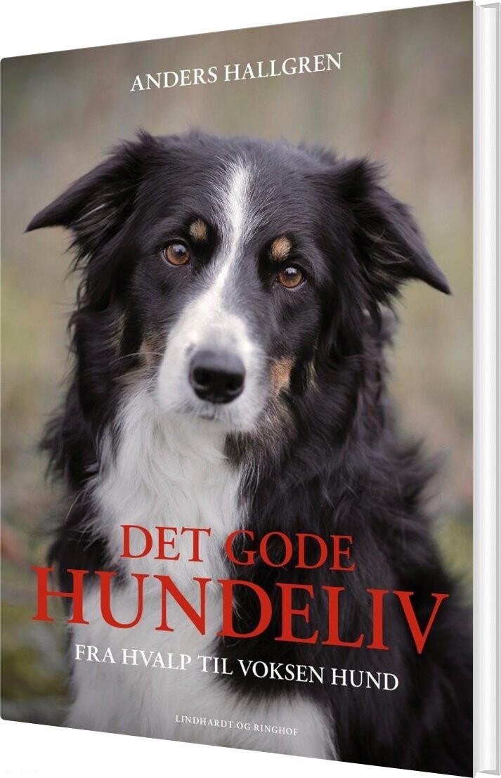 Det Gode Hundeliv - Anders Hallgren - Bog - Lindhardt Og Ringhof