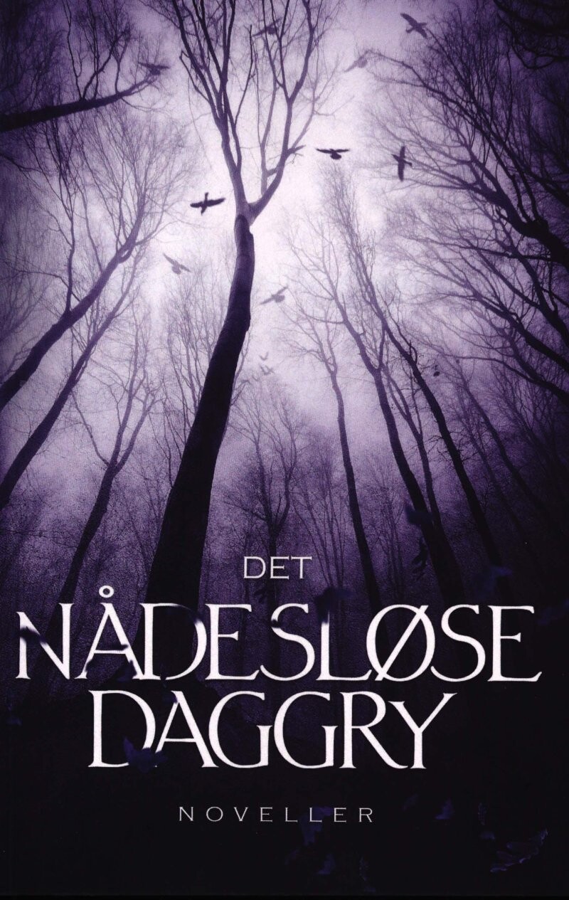 Det Nådesløse Daggry - A. Silvestri - Bog - Enter Darkness