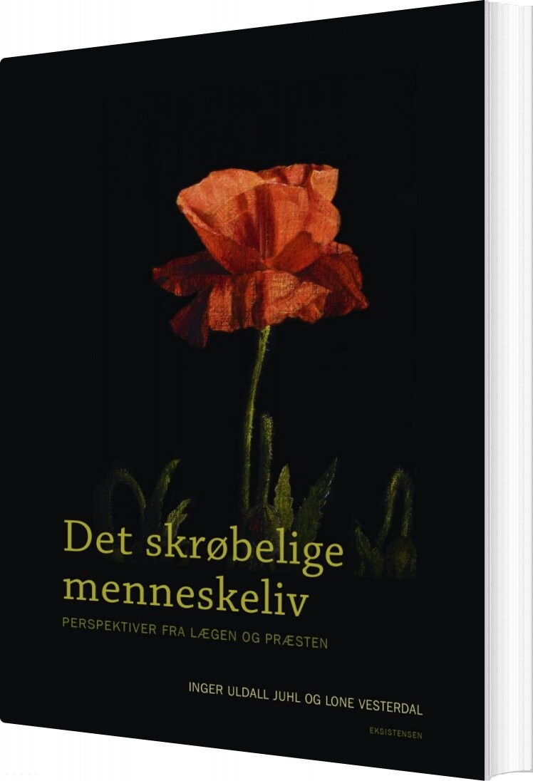 Det Skrøbelige Menneskeliv - Lone Vesterdal - Bog - Eksistensen