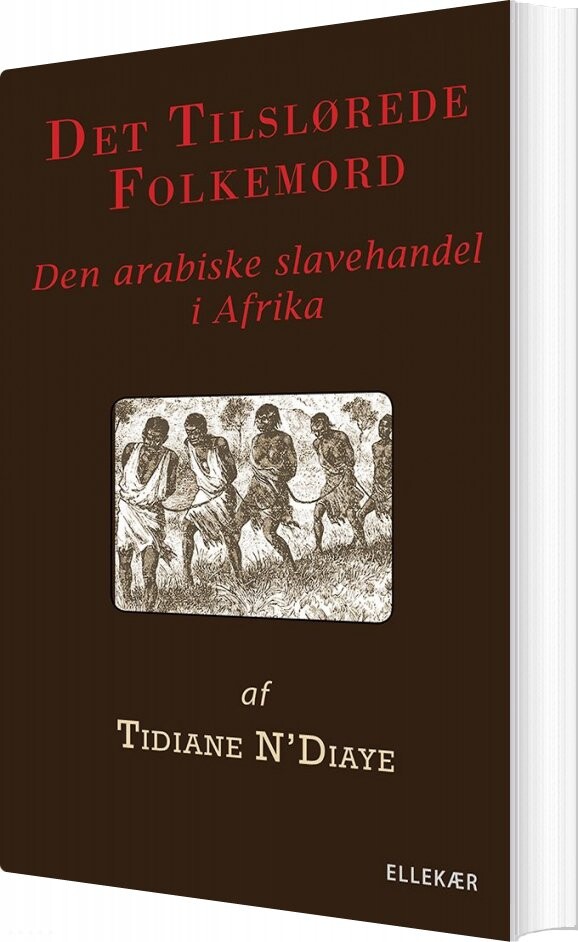 Det Tilslørede Folkemord - Tidiane N'diaye - Bog - Ellekær