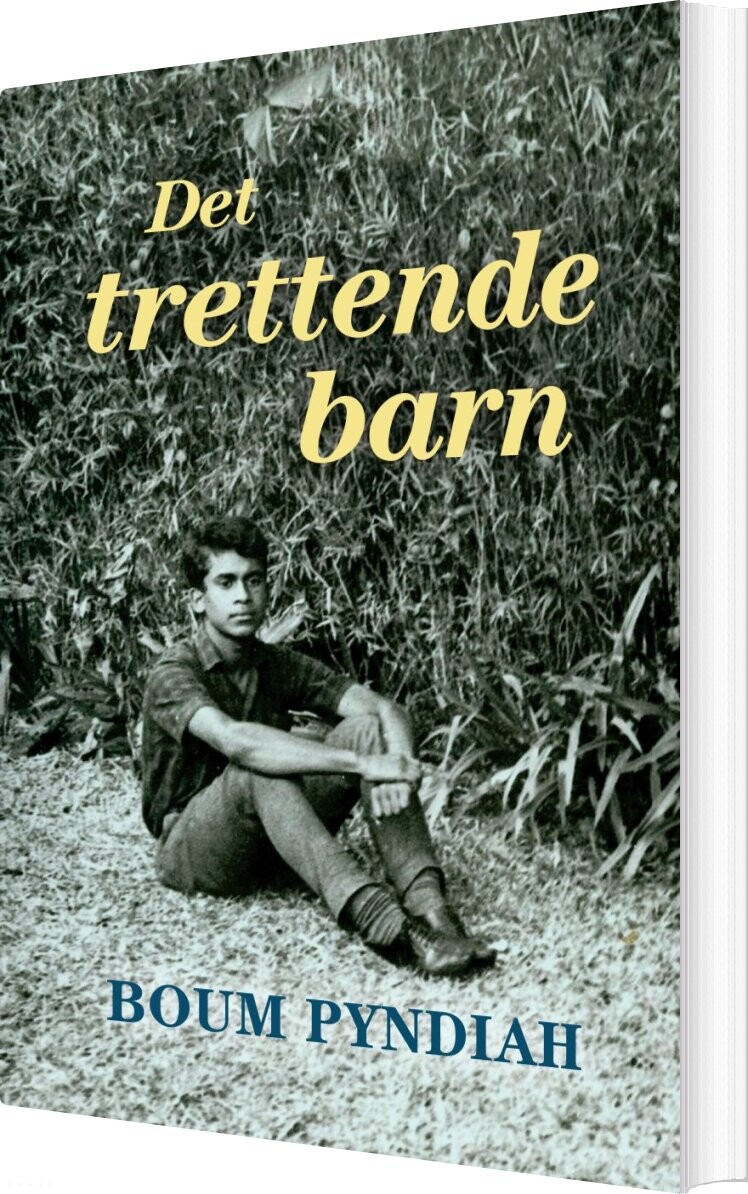 Det Trettende Barn - Boum Pyndiah - Bog - Forlaget Forfatterskabet.dk