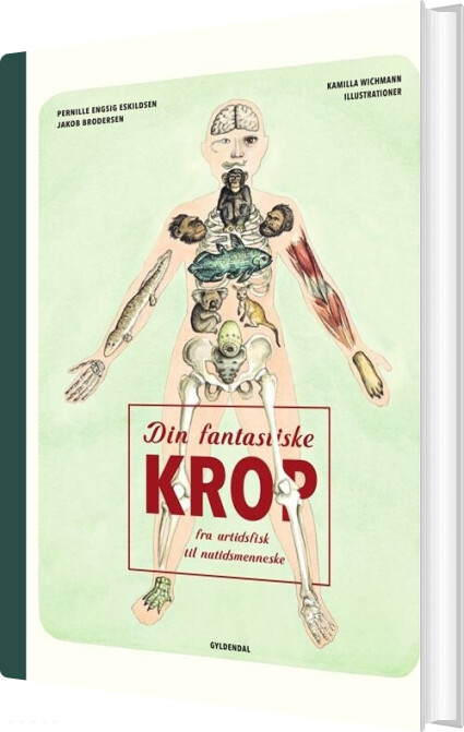 Din Fantastiske Krop - Fra Urtidsfisk Til Nutidsmenneske - Kamilla Wichmann - Bog - Gyldendal