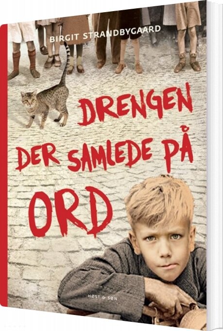 Drengen Der Samlede På Ord - Birgit Strandbygaard - Bog - Høst & Søn
