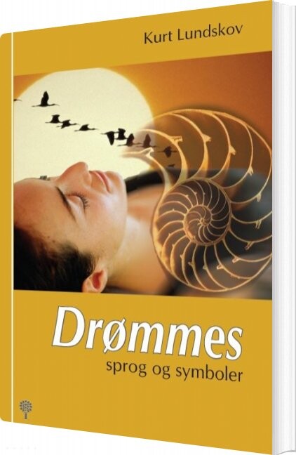 Drømmes Sprog Og Symboler - Kurt Lundskov - Bog - Books On Demand