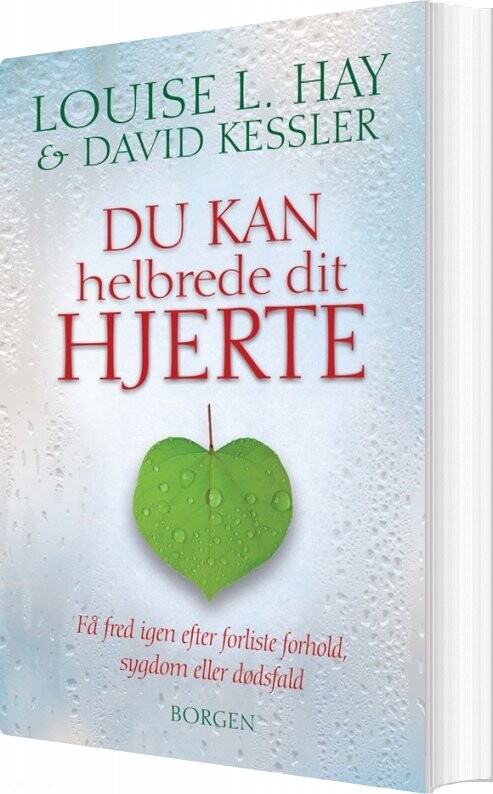 Du Kan Helbrede Dit Hjerte - Louise L. Hay - Bog - Gyldendal