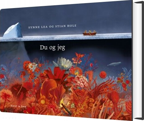 Du Og Jeg - Stian Hole - Bog - Høst & Søn