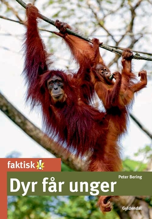 Dyr Får Unger - Peter Bering - Bog - Gyldendal