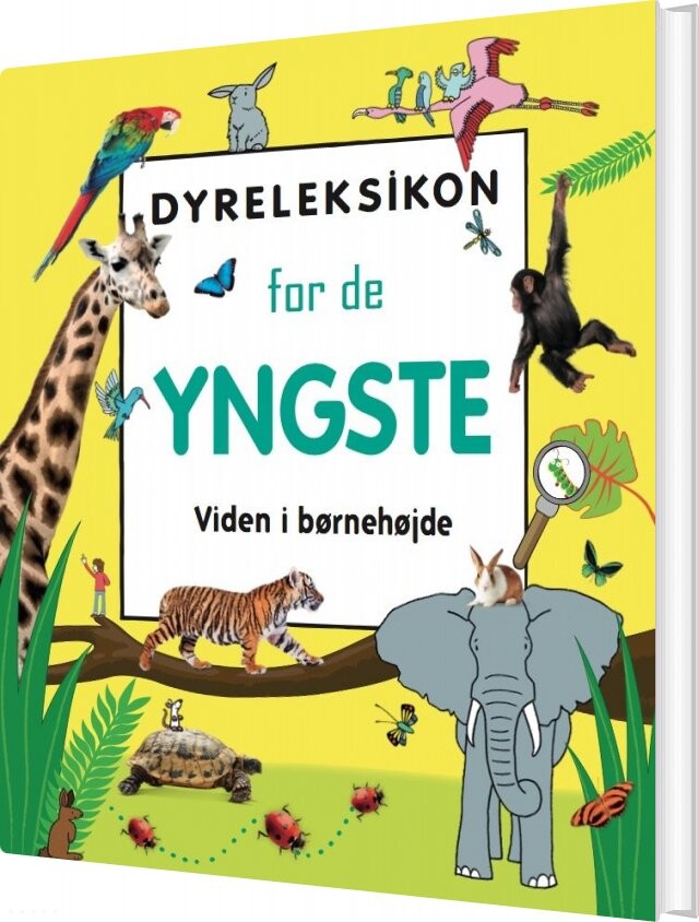 Dyreleksikon For De Yngste - Bog - Globe