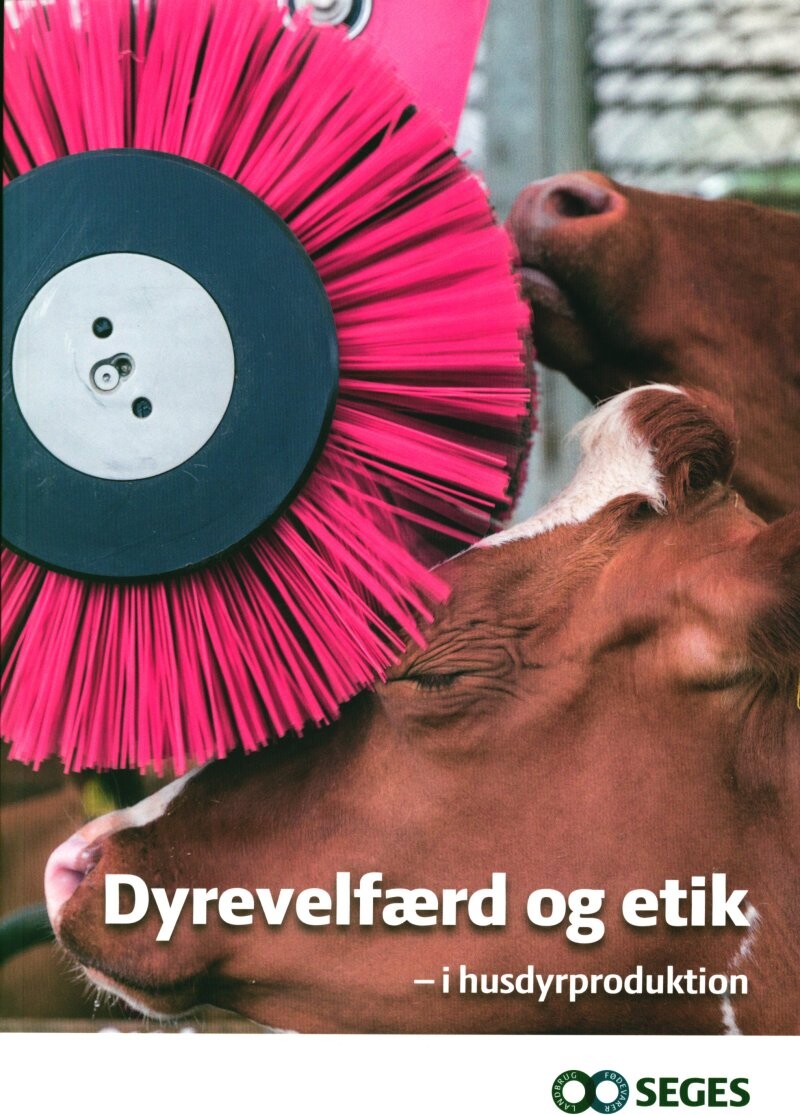 Dyrevelfærd Og Etik - I Husdyrproduktion - Peter Sandøe - Bog - Seges Forlag