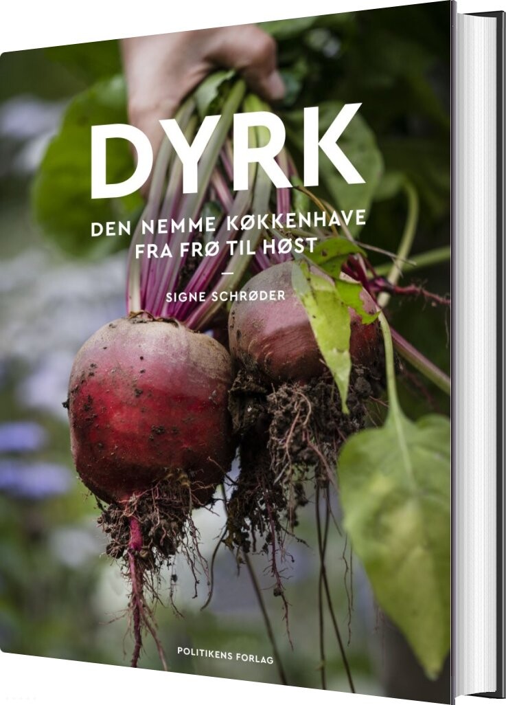 Dyrk - Signe Schrøder - Bog - Politikens Forlag