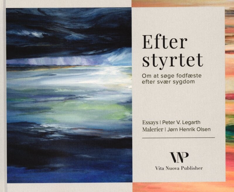 Efter Styrtet - Jørn Henrik Olsen - Bog - Vita Nuova Publisher