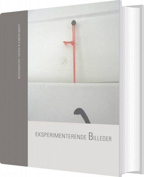Eksperimenterende Billeder - Karin Munch - Bog - Gyldendal