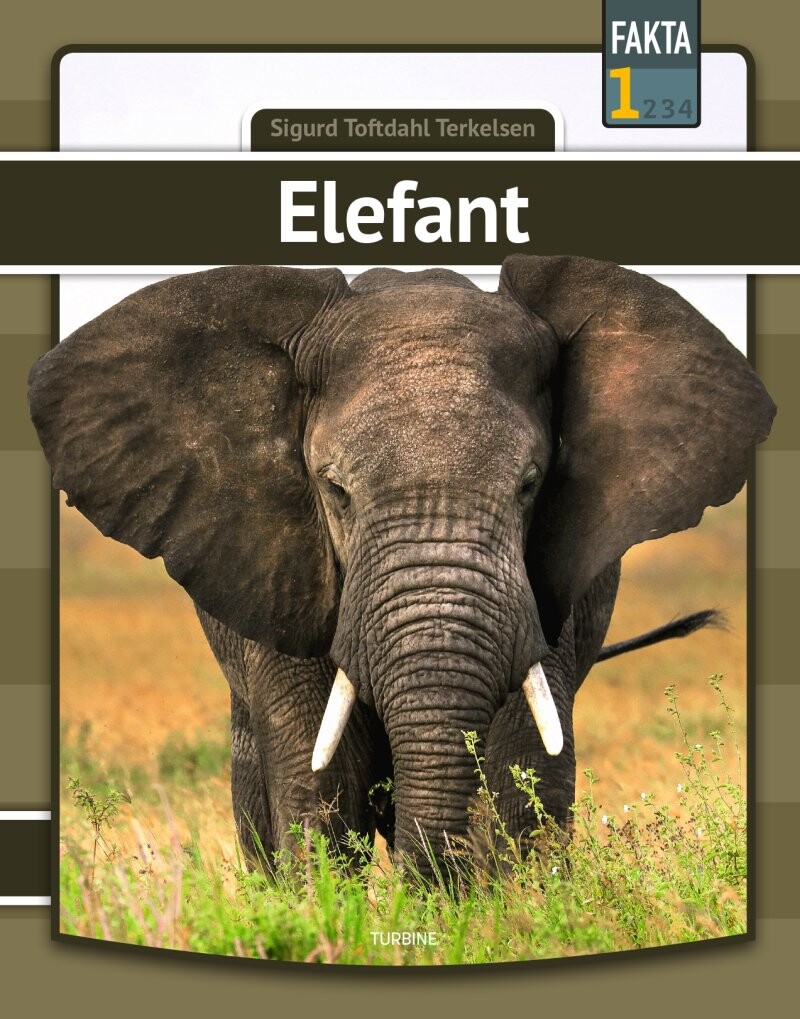 Elefant - Sigurd Toftdahl Terkelsen - Bog - Turbine
