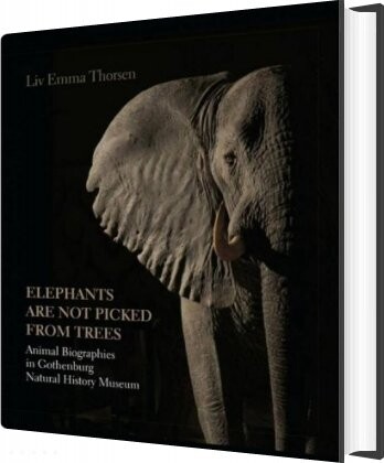 Elephants Are Not Picked From Trees - Liv Emma Thorsen - English Book - Aarhus Universitetsforlag