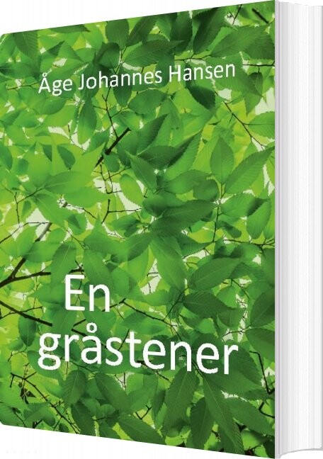 En Gråstener - åge Johannes Hansen - Bog - Books On Demand