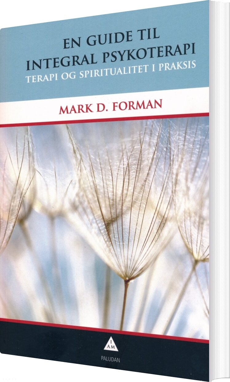 En Guide Til Integral Psykoterapi - Mark D. Forman - Bog - Paludan