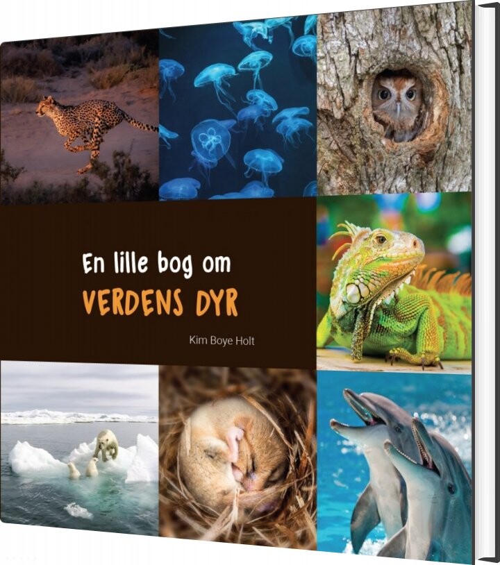 En Lille Bog Om Verdens Dyr - Kim Boye Holt - Bog - Vaerkstadt