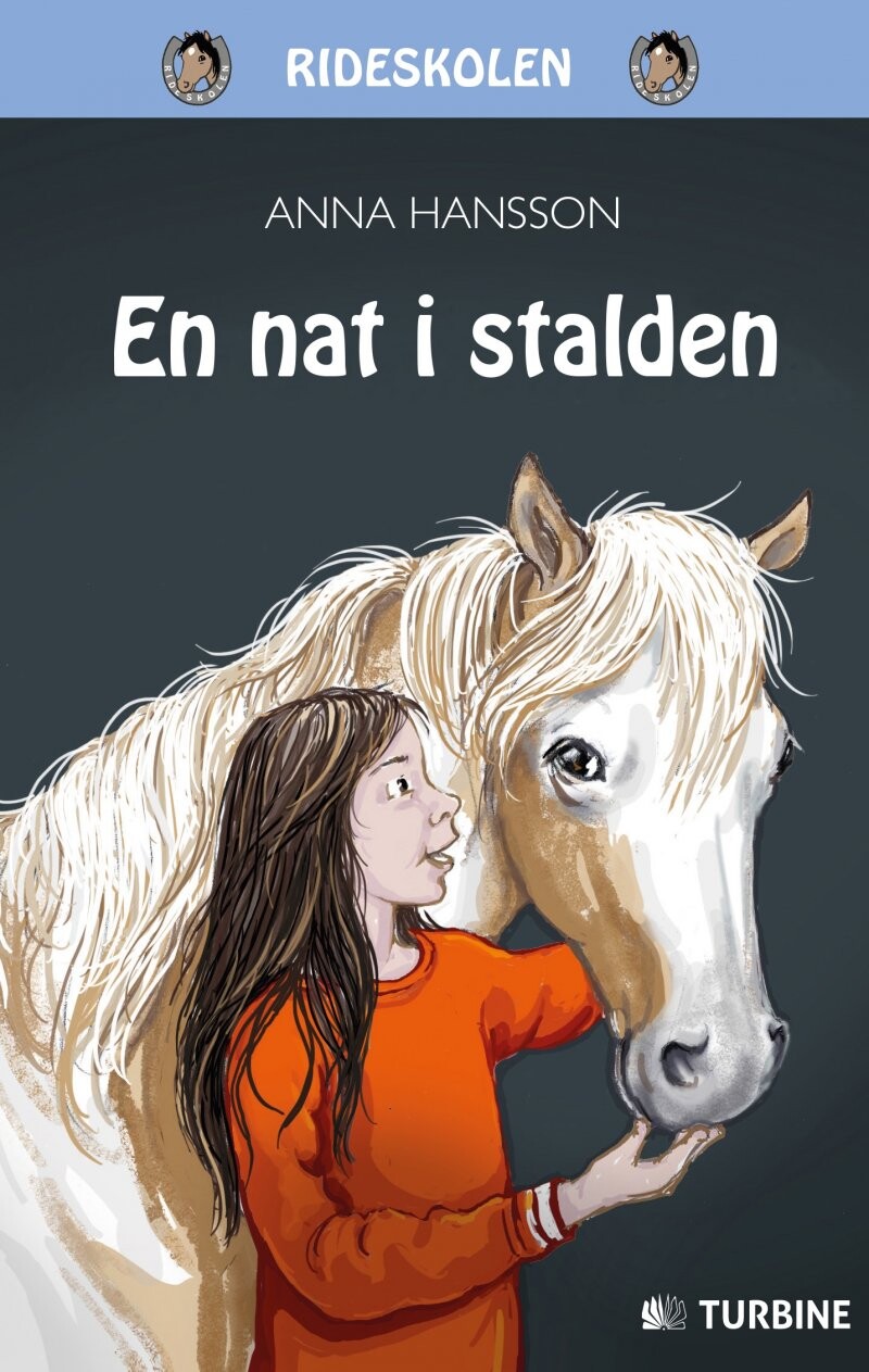 En Nat I Stalden - Anna Hansson - Bog - Turbine