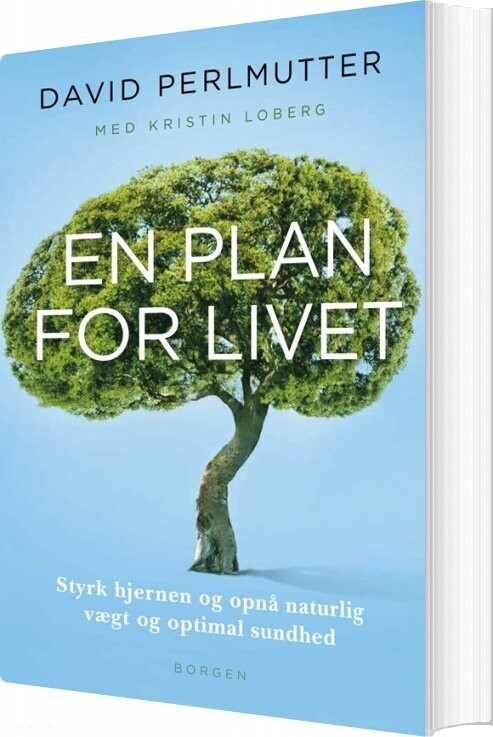 En Plan For Livet - David Perlmutter - Bog - Borgen