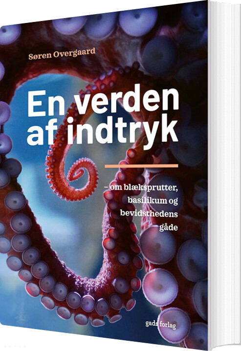 En Verden Af Indtryk - Søren Overgaard - Bog - Gads Forlag