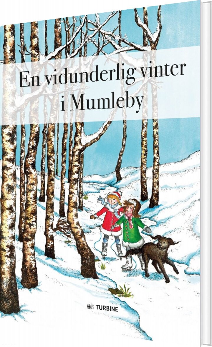 En Vidunderlig Vinter I Mumleby - Elvira Fragola - Bog - Turbine