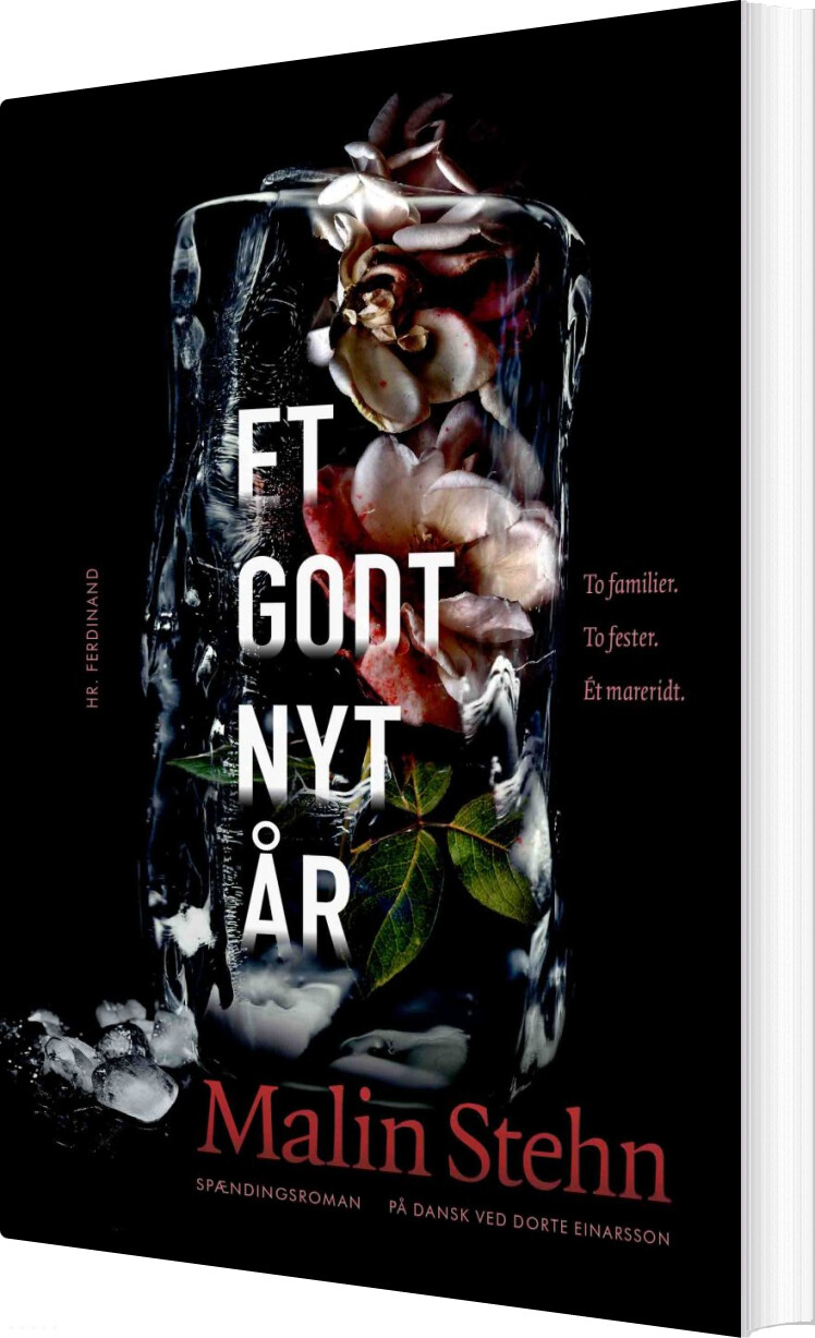 Et Godt Nyt år - Malin Stehn - Bog - Hr. Ferdinand
