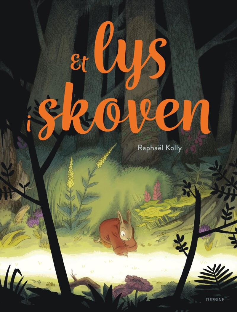 Et Lys I Skoven - Raphaël Kolly - Bog - Turbine