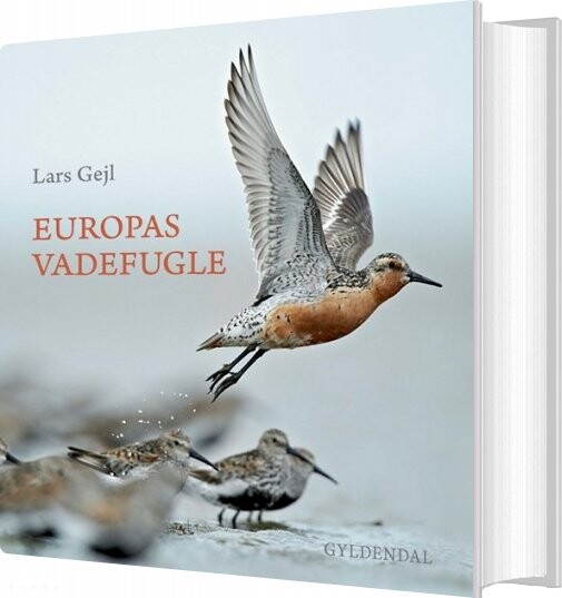 Europas Vadefugle - Lars Gejl - Bog - Gyldendal