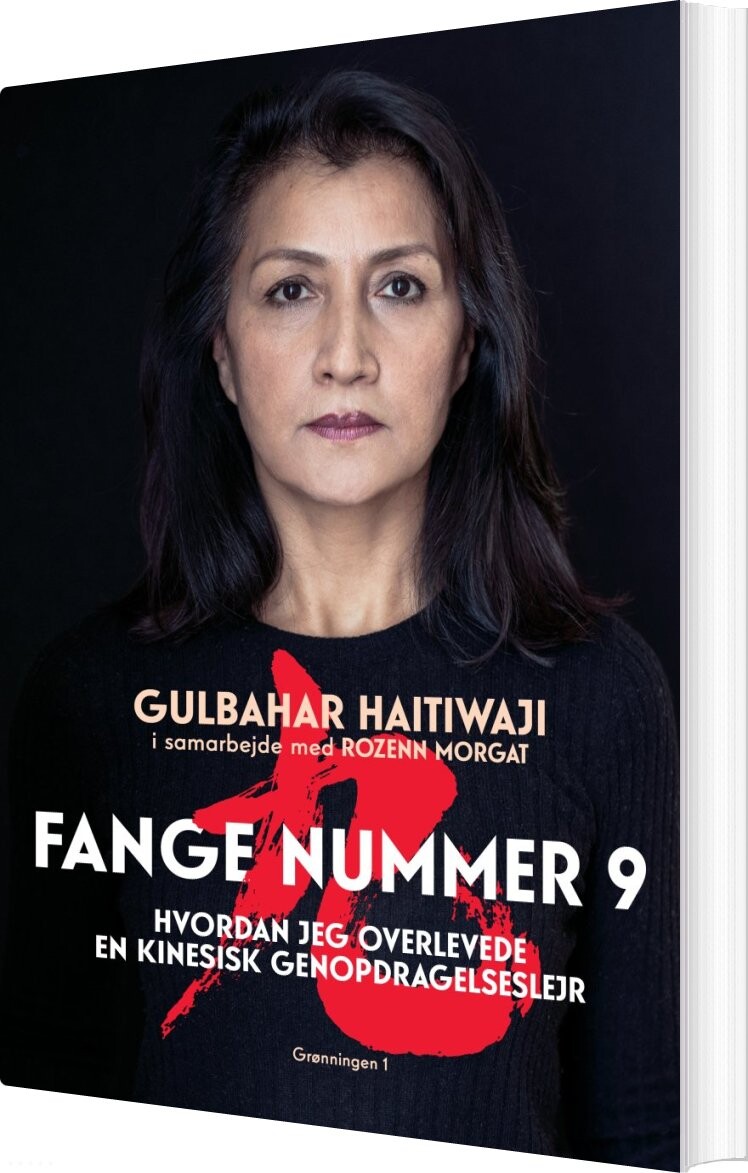 Fange Nummer 9 - Gulbahar Haitiwaji - Bog - Grønningen 1