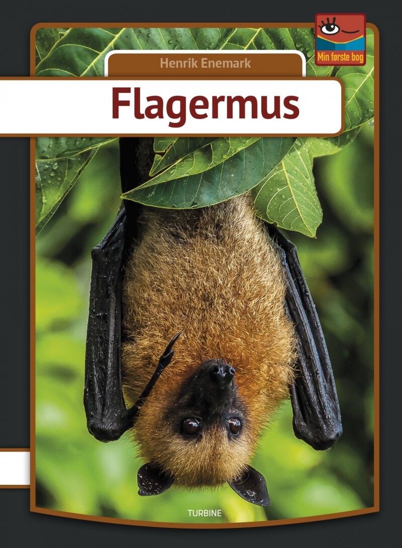 Flagermus - Henrik Enemark - Bog - Turbine