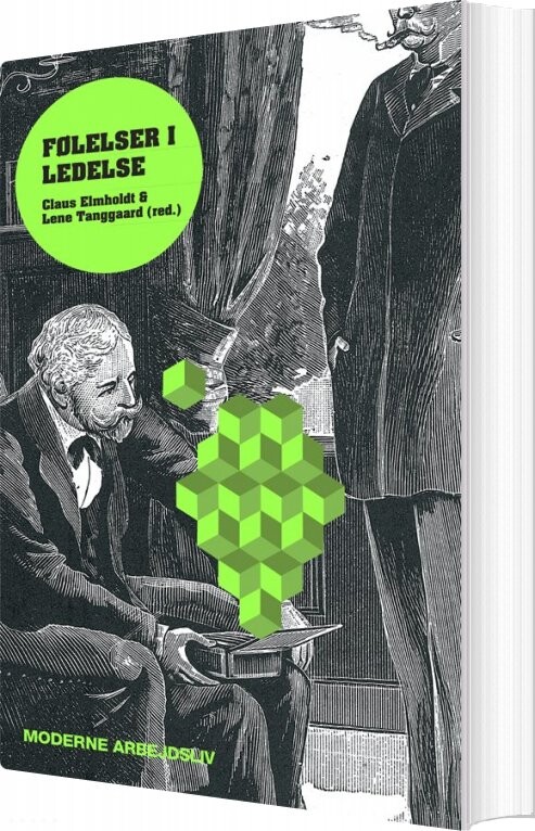 Følelser I Ledelse - Lene Tanggaard - Bog - Klim