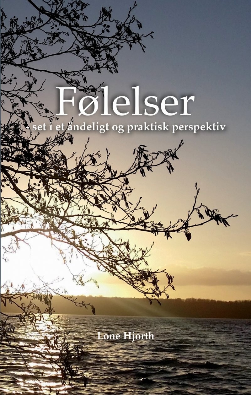 Følelser - Set I Et åndeligt Og Praktisk Perspektiv - Lone Hjorth - Bog - Hjorth & Nielsen