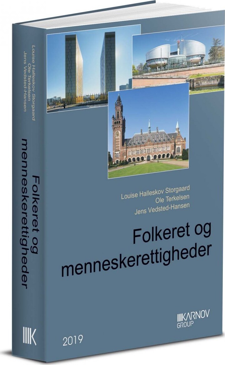 Folkeret Og Menneskerettigheder - Jens Vedsted-hansen - Bog