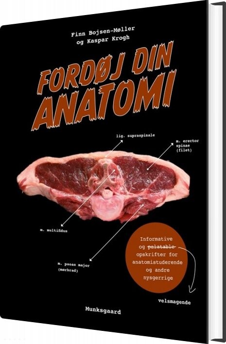 Fordøj Din Anatomi - Finn Bojsen-møller - Bog - Munksgaard