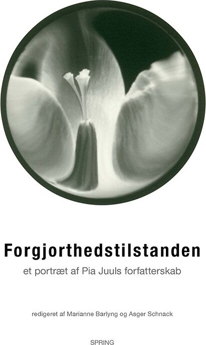 Forgjorthedstilstanden - Asger Schnack - Bog - Spring