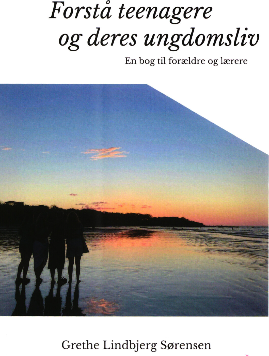 Forstå Teenagere Og Deres Ungdomsliv - Grethe Lindbjerg Sørensen - Bog