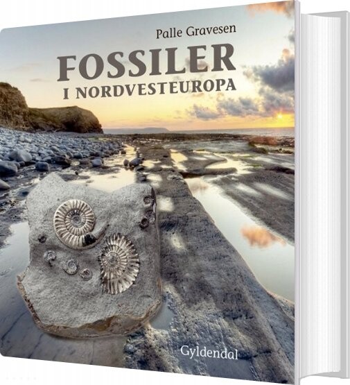 Fossiler I Nordvesteuropa - Palle Gravesen - Bog - Gyldendal