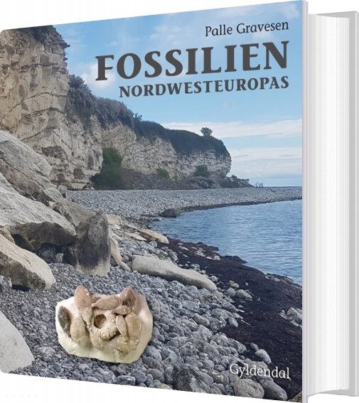 Fossilien Nordwesteuropas - Palle Gravesen - Bog - Gyldendal