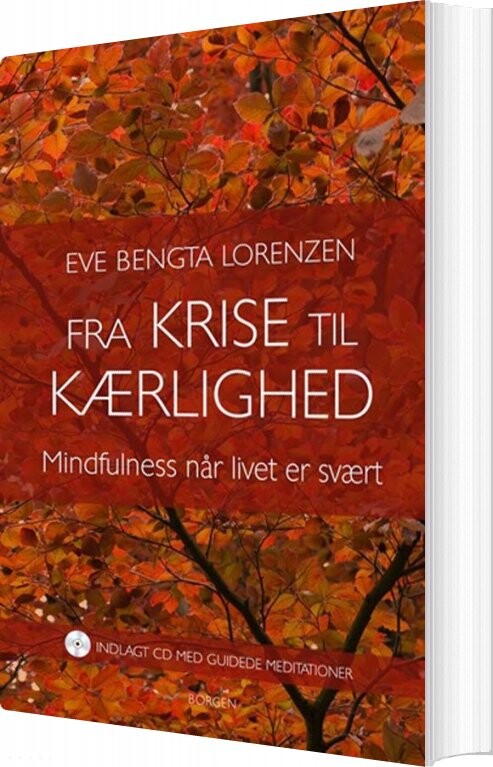 Fra Krise Til Kærlighed - Eve Bengta Lorenzen - Bog - Borgen
